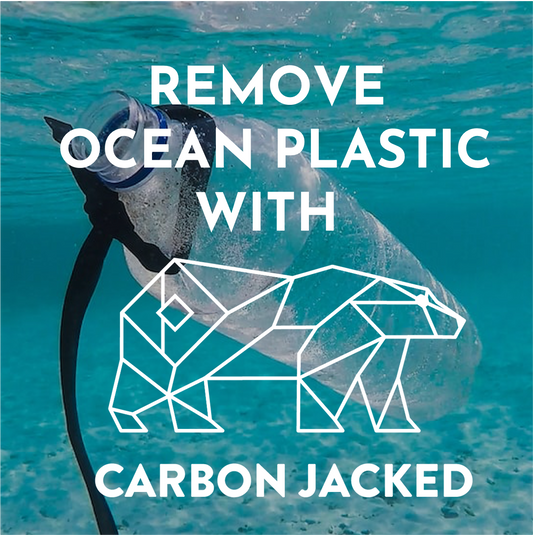 Ocean Plastic Removal